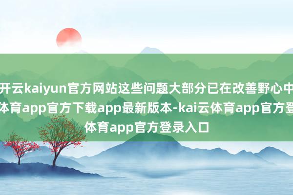 开云kaiyun官方网站这些问题大部分已在改善野心中-kai云体育app官方下载app最新版本-kai云体育app官方登录入口