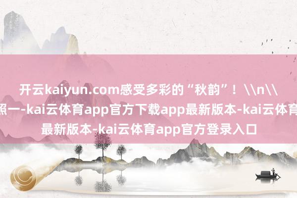 开云kaiyun.com感受多彩的“秋韵”！\n\n《秋日时光》组照一-kai云体育app官方下载app最新版本-kai云体育app官方登录入口